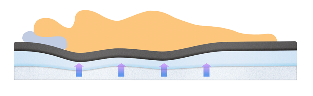 Ebony Sleeper Profile