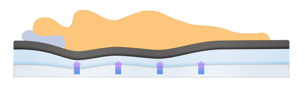 Ebony Sleeper Profile